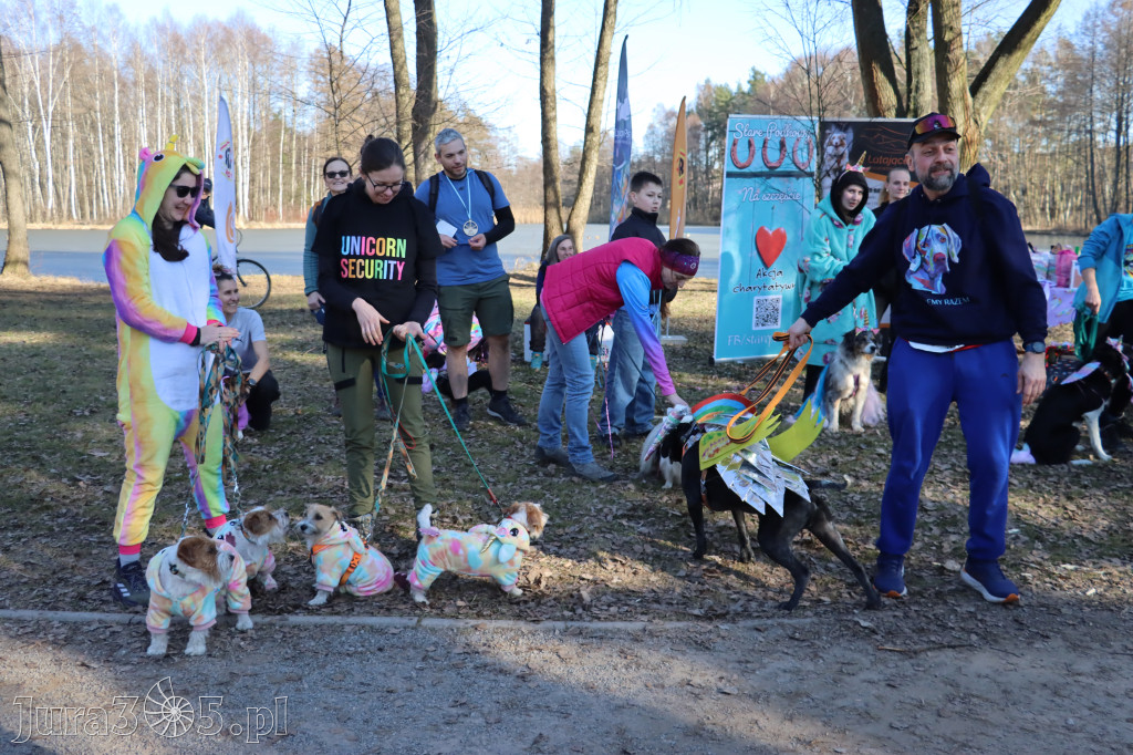 Fotorelacja II: Jurajski Dogtrekking w Myszkowie