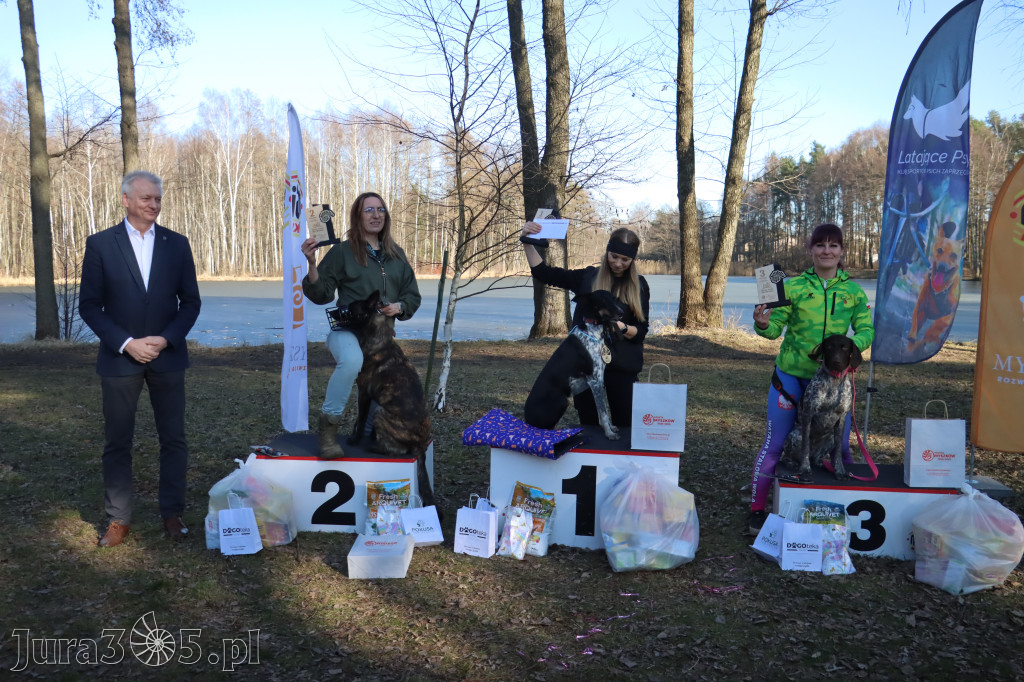 Fotorelacja II: Jurajski Dogtrekking w Myszkowie