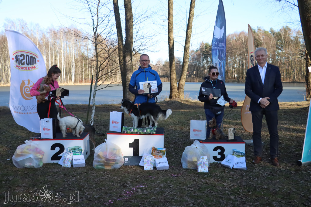 Fotorelacja II: Jurajski Dogtrekking w Myszkowie