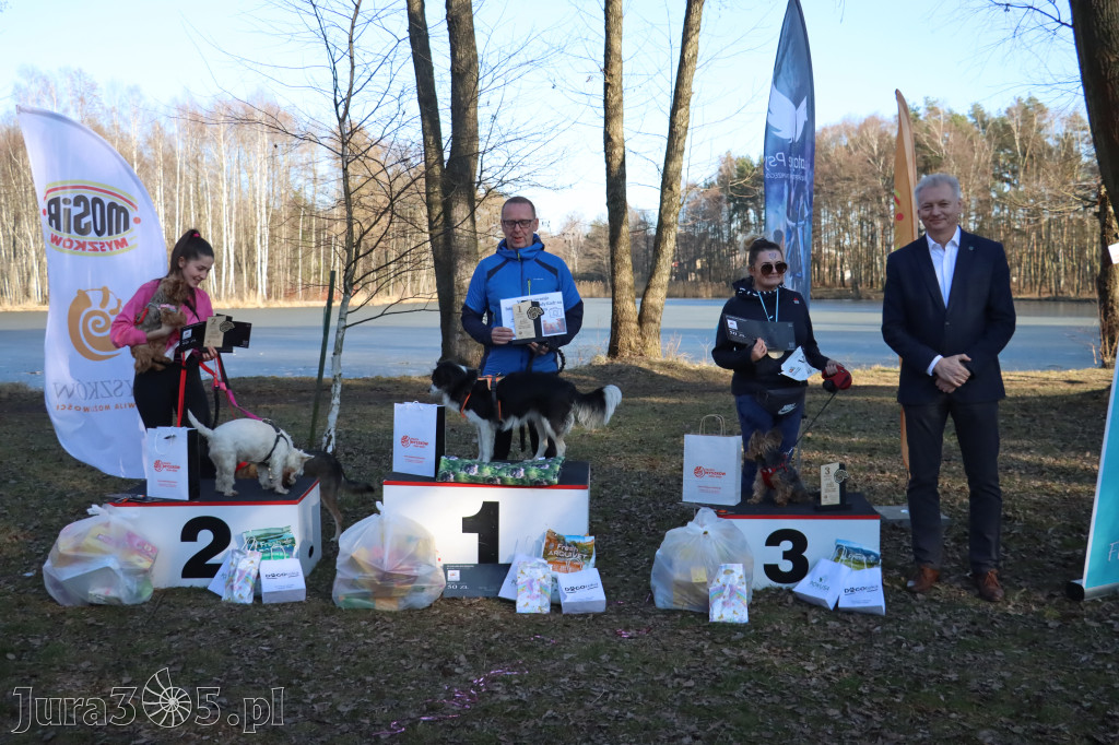 Fotorelacja II: Jurajski Dogtrekking w Myszkowie