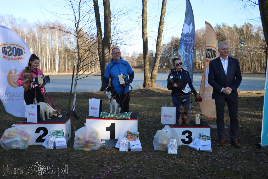 Fotorelacja II: Jurajski Dogtrekking w Myszkowie