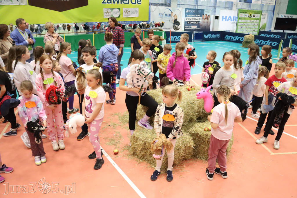 Fotorelacja: IV Zawierciańskie Zawody Hobby Horse