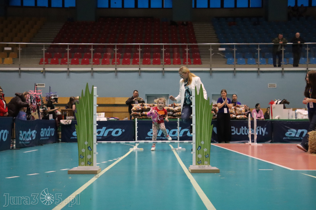 Fotorelacja: IV Zawierciańskie Zawody Hobby Horse