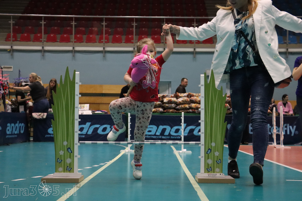 Fotorelacja: IV Zawierciańskie Zawody Hobby Horse