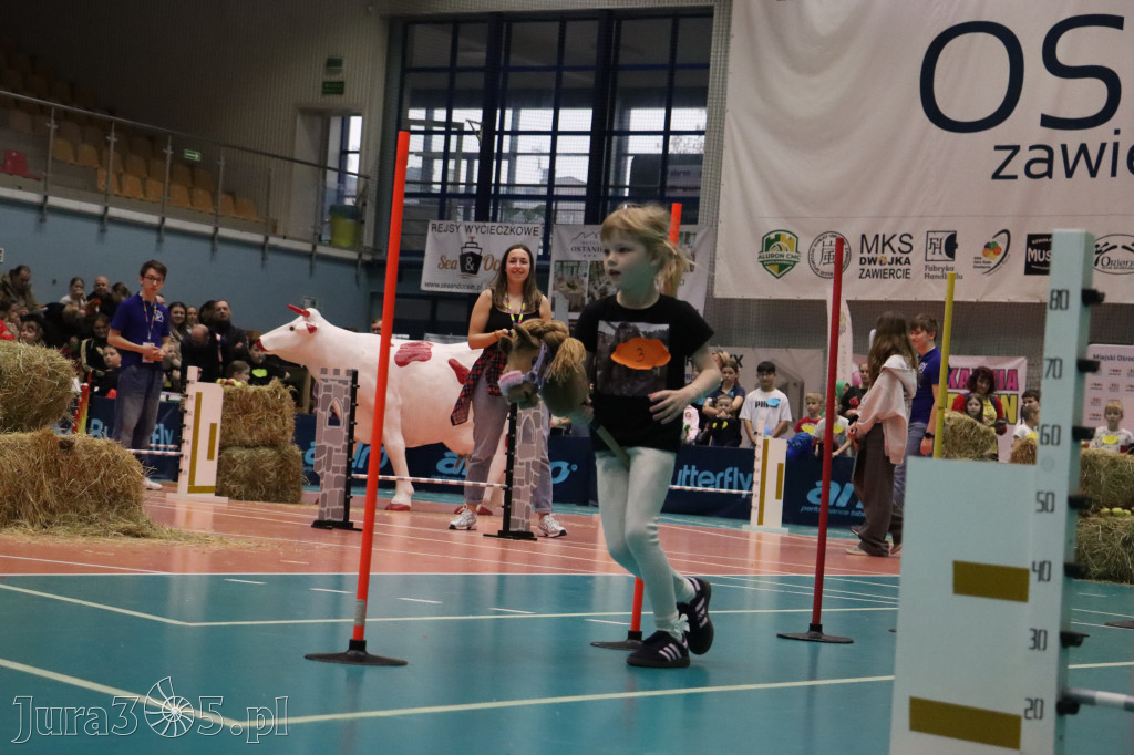 Fotorelacja: IV Zawierciańskie Zawody Hobby Horse