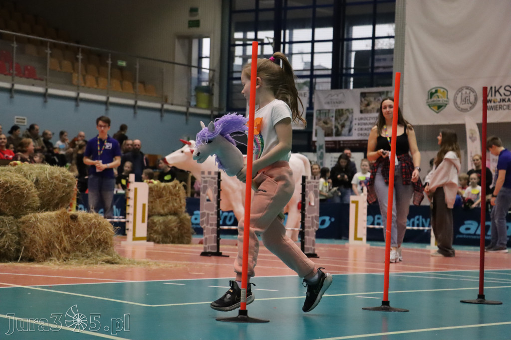 Fotorelacja: IV Zawierciańskie Zawody Hobby Horse