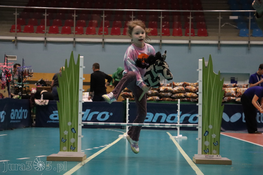 Fotorelacja: IV Zawierciańskie Zawody Hobby Horse