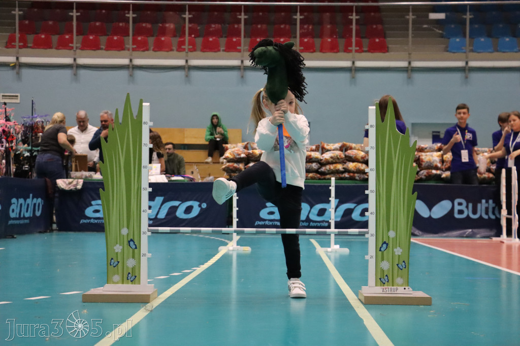 Fotorelacja: IV Zawierciańskie Zawody Hobby Horse