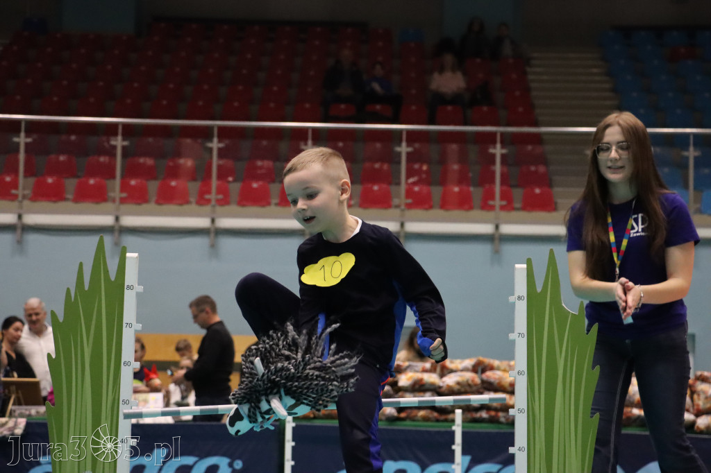 Fotorelacja: IV Zawierciańskie Zawody Hobby Horse