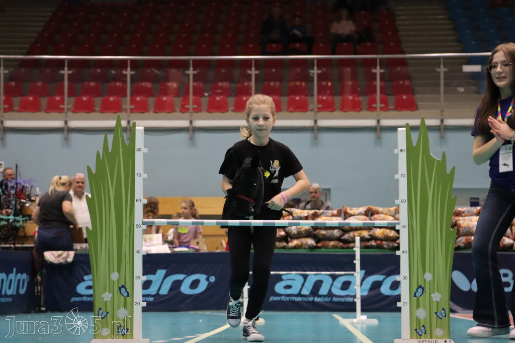 Fotorelacja: IV Zawierciańskie Zawody Hobby Horse