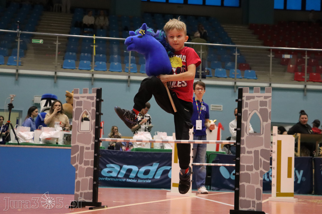 Fotorelacja: IV Zawierciańskie Zawody Hobby Horse