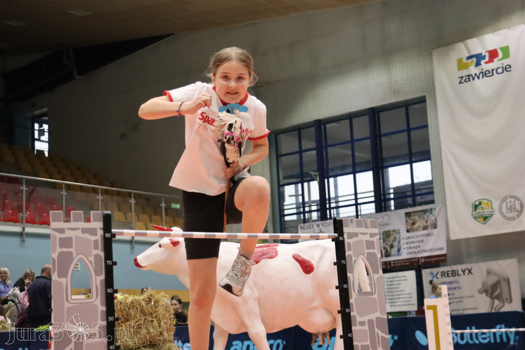 Fotorelacja: IV Zawierciańskie Zawody Hobby Horse