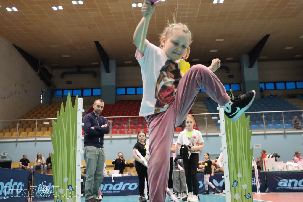 Fotorelacja: IV Zawierciańskie Zawody Hobby Horse