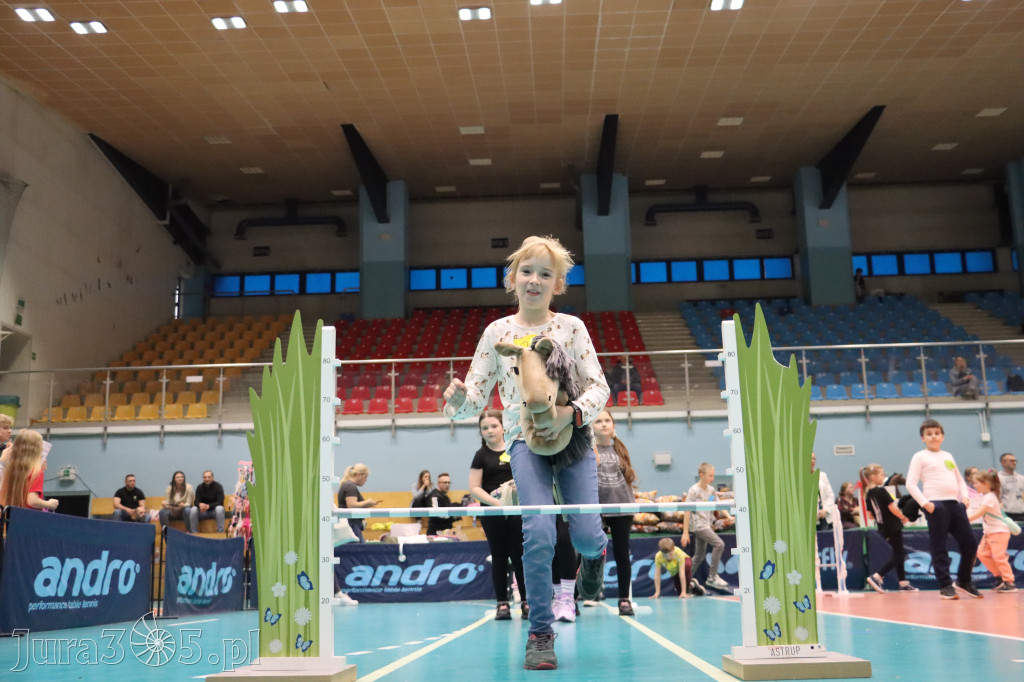 Fotorelacja: IV Zawierciańskie Zawody Hobby Horse