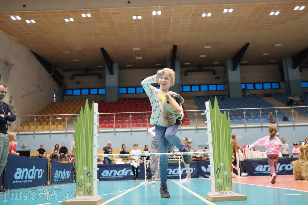 Fotorelacja: IV Zawierciańskie Zawody Hobby Horse