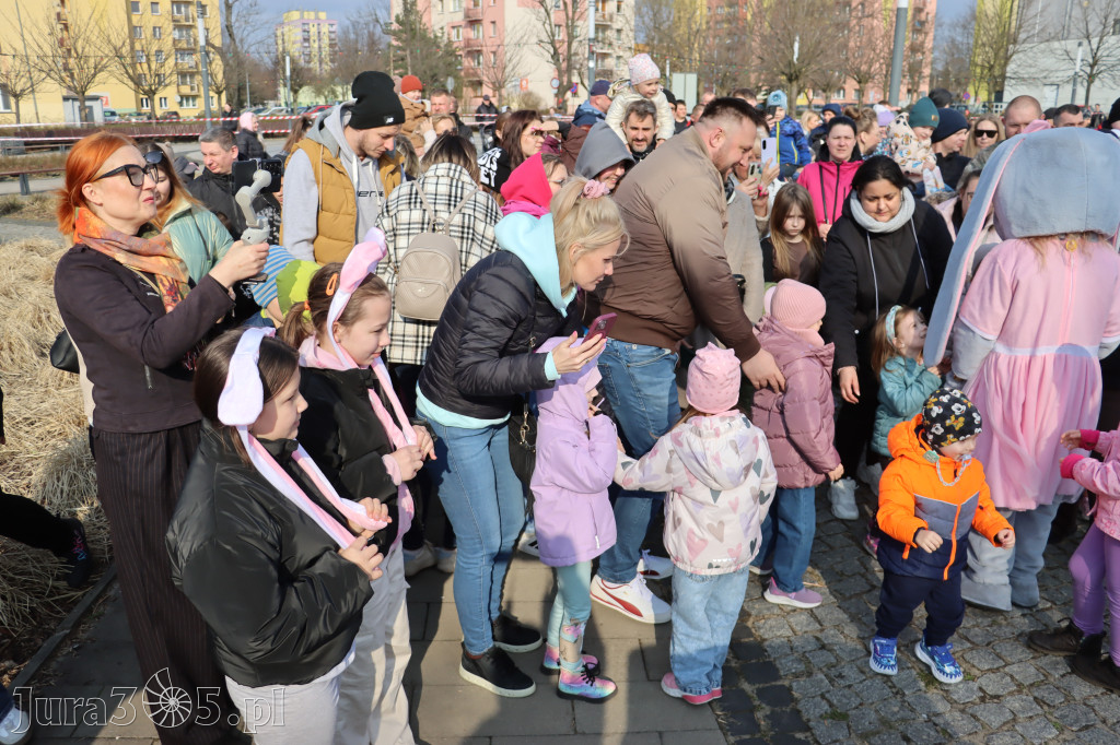 Fotorelacja: Gonitwa Jurajskiego Zająca w Zawierciu