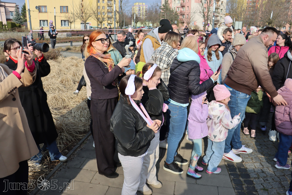 Fotorelacja: Gonitwa Jurajskiego Zająca w Zawierciu