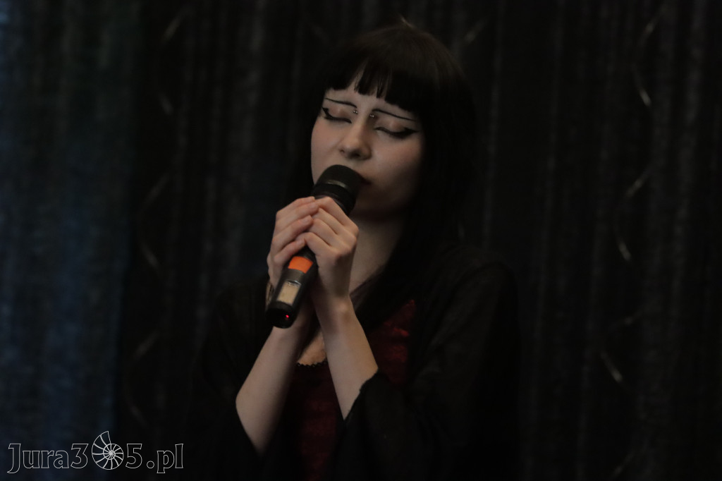 Fotorelacja: Koncert Nie tylko dla Mam w Pałacyku nad Wartą w Zawierciu Kromołowie