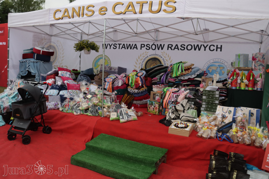 Fotorelacja: Międzynarodowa Wystawa Psów Rasowych w Poraju