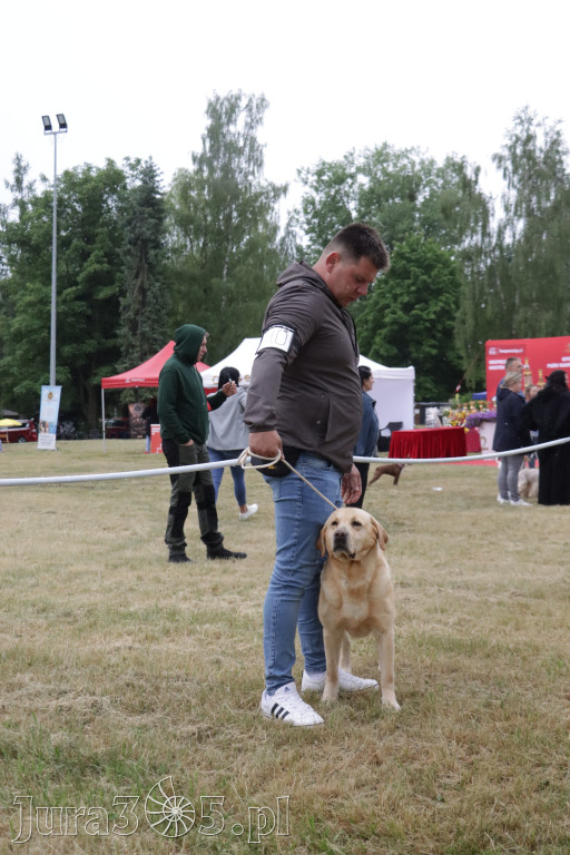 Fotorelacja: Międzynarodowa Wystawa Psów Rasowych w Poraju