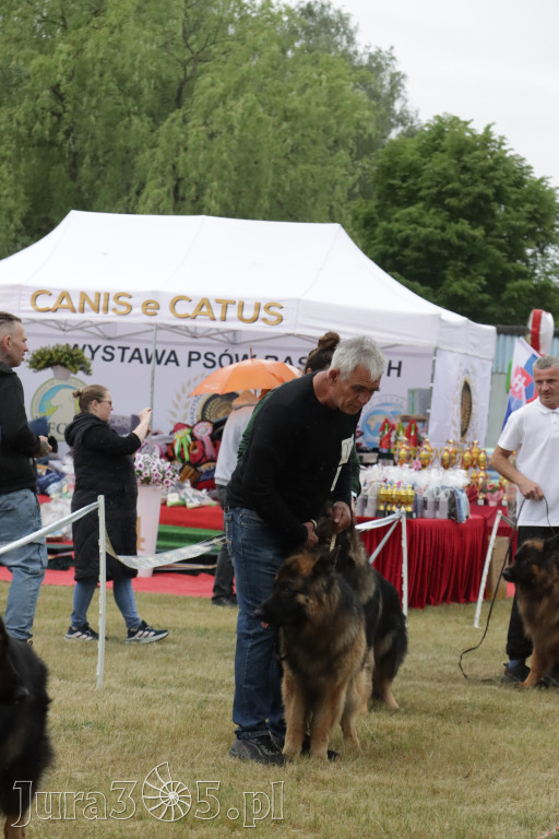 Fotorelacja: Międzynarodowa Wystawa Psów Rasowych w Poraju