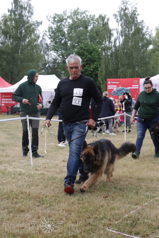 Fotorelacja: Międzynarodowa Wystawa Psów Rasowych w Poraju