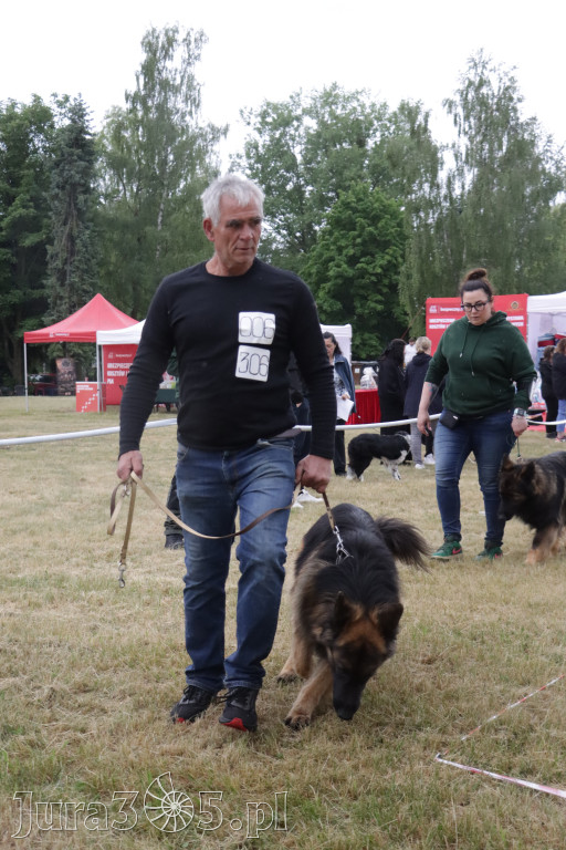 Fotorelacja: Międzynarodowa Wystawa Psów Rasowych w Poraju