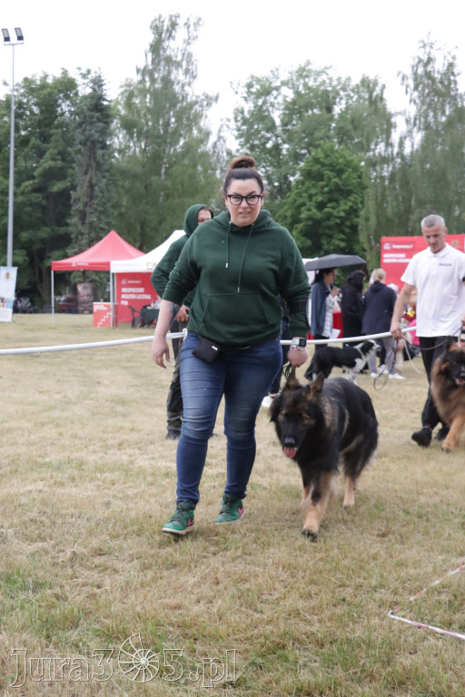 Fotorelacja: Międzynarodowa Wystawa Psów Rasowych w Poraju