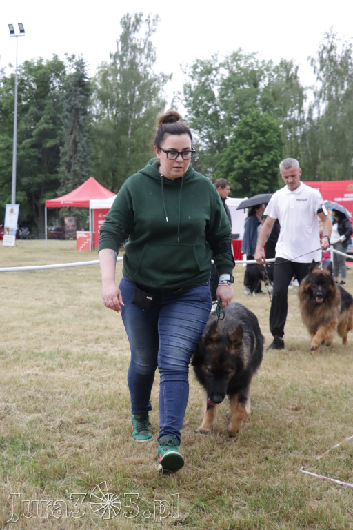 Fotorelacja: Międzynarodowa Wystawa Psów Rasowych w Poraju