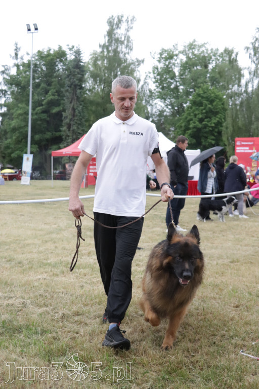 Fotorelacja: Międzynarodowa Wystawa Psów Rasowych w Poraju