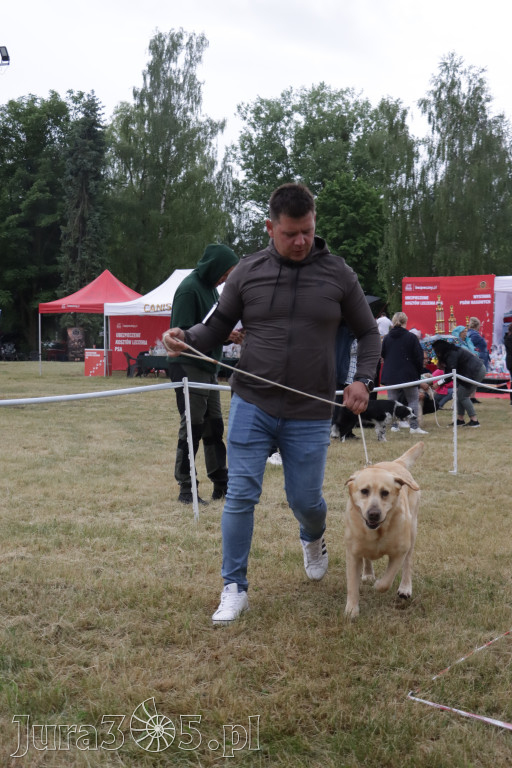 Fotorelacja: Międzynarodowa Wystawa Psów Rasowych w Poraju