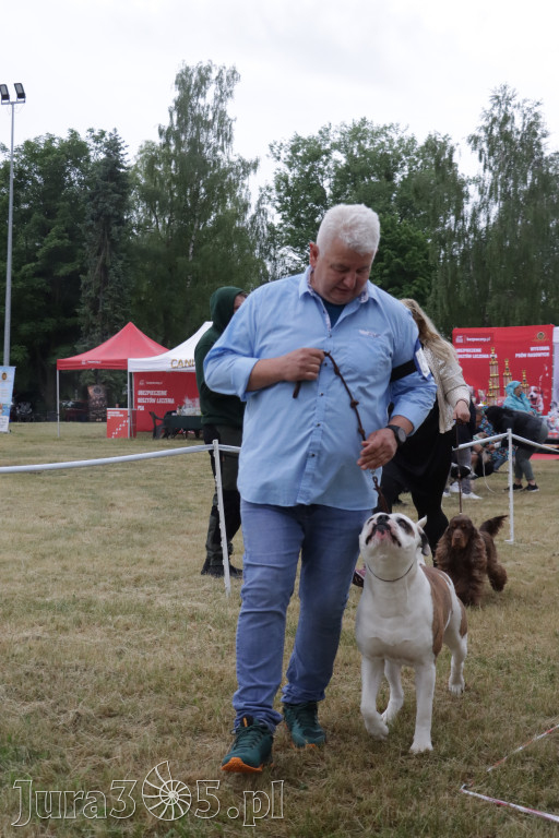 Fotorelacja: Międzynarodowa Wystawa Psów Rasowych w Poraju