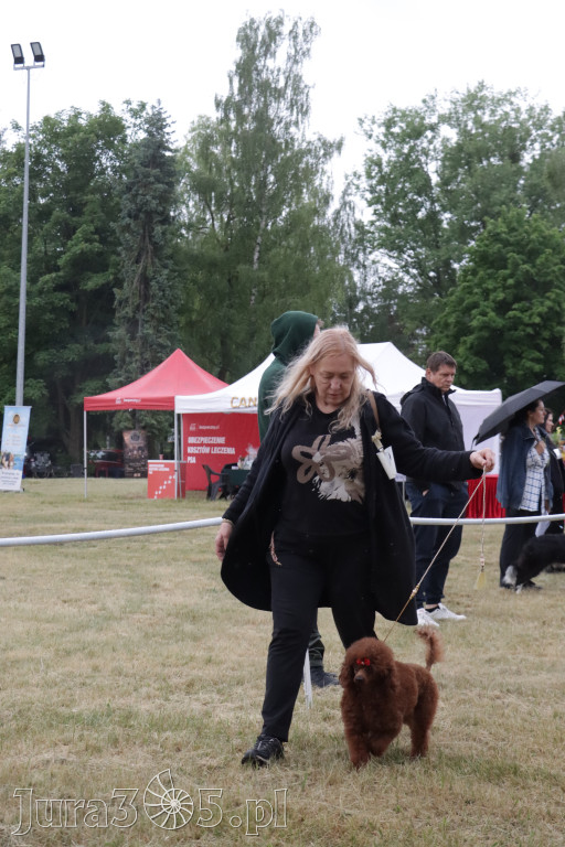 Fotorelacja: Międzynarodowa Wystawa Psów Rasowych w Poraju