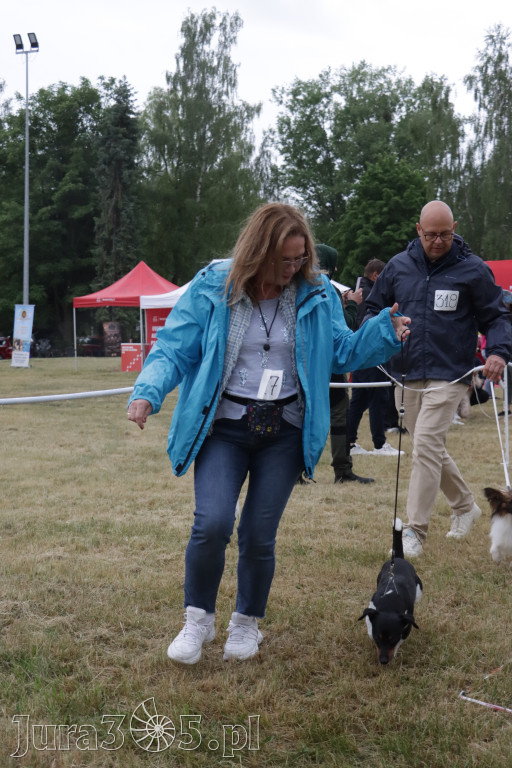Fotorelacja: Międzynarodowa Wystawa Psów Rasowych w Poraju
