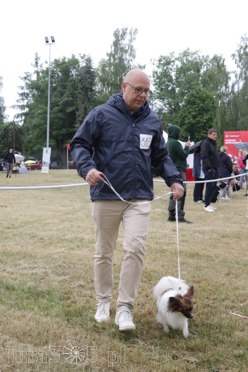 Fotorelacja: Międzynarodowa Wystawa Psów Rasowych w Poraju