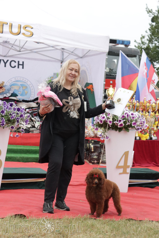 Fotorelacja: Międzynarodowa Wystawa Psów Rasowych w Poraju