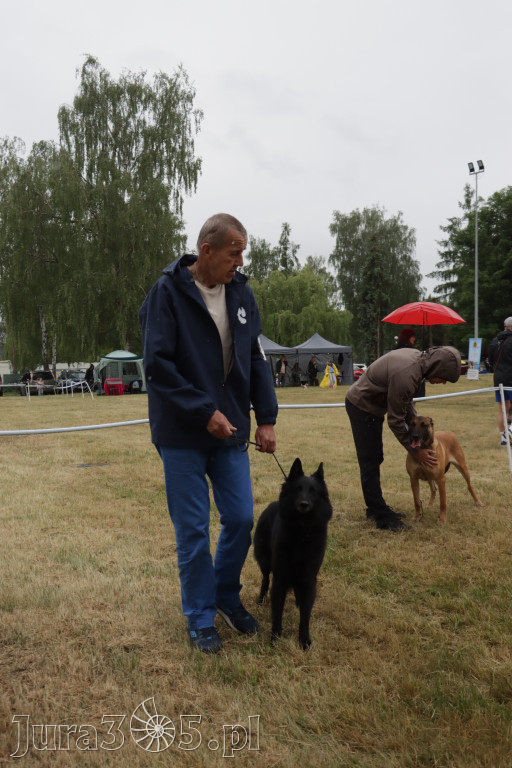 Fotorelacja: Międzynarodowa Wystawa Psów Rasowych w Poraju