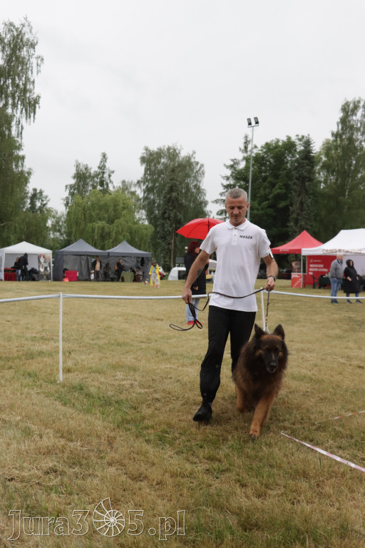 Fotorelacja: Międzynarodowa Wystawa Psów Rasowych w Poraju