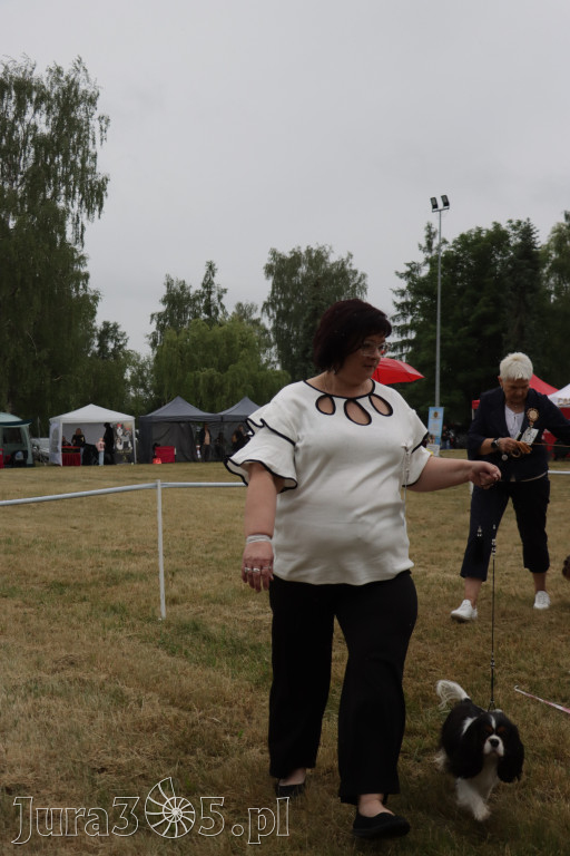 Fotorelacja: Międzynarodowa Wystawa Psów Rasowych w Poraju