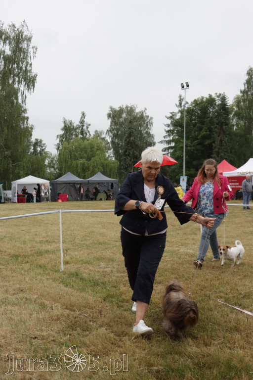 Fotorelacja: Międzynarodowa Wystawa Psów Rasowych w Poraju