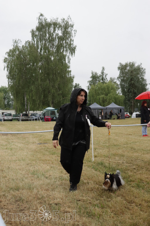 Fotorelacja: Międzynarodowa Wystawa Psów Rasowych w Poraju