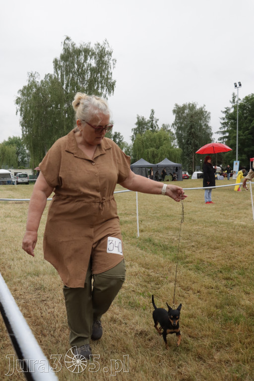Fotorelacja: Międzynarodowa Wystawa Psów Rasowych w Poraju