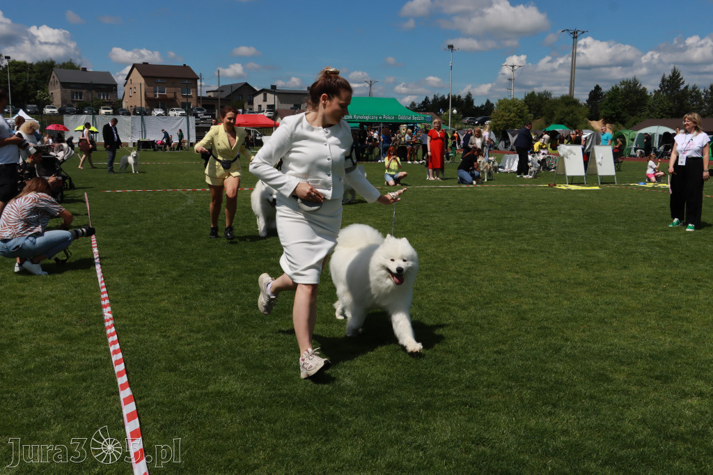 Fotorelacja I: Krajowa Wystawa Psów Rasowych w Gniazdowie Gmina Koziegłowy