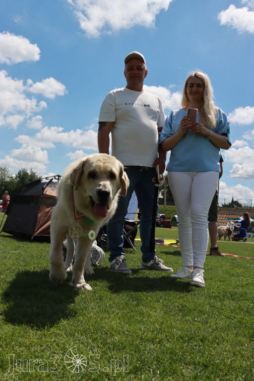 Fotorelacja I: Krajowa Wystawa Psów Rasowych w Gniazdowie Gmina Koziegłowy