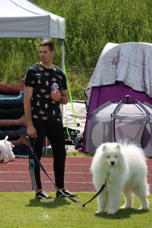 Fotorelacja I: Krajowa Wystawa Psów Rasowych w Gniazdowie Gmina Koziegłowy