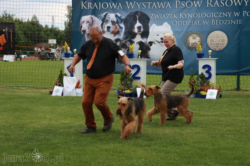 Fotorelacja I: Krajowa Wystawa Psów Rasowych w Gniazdowie Gmina Koziegłowy