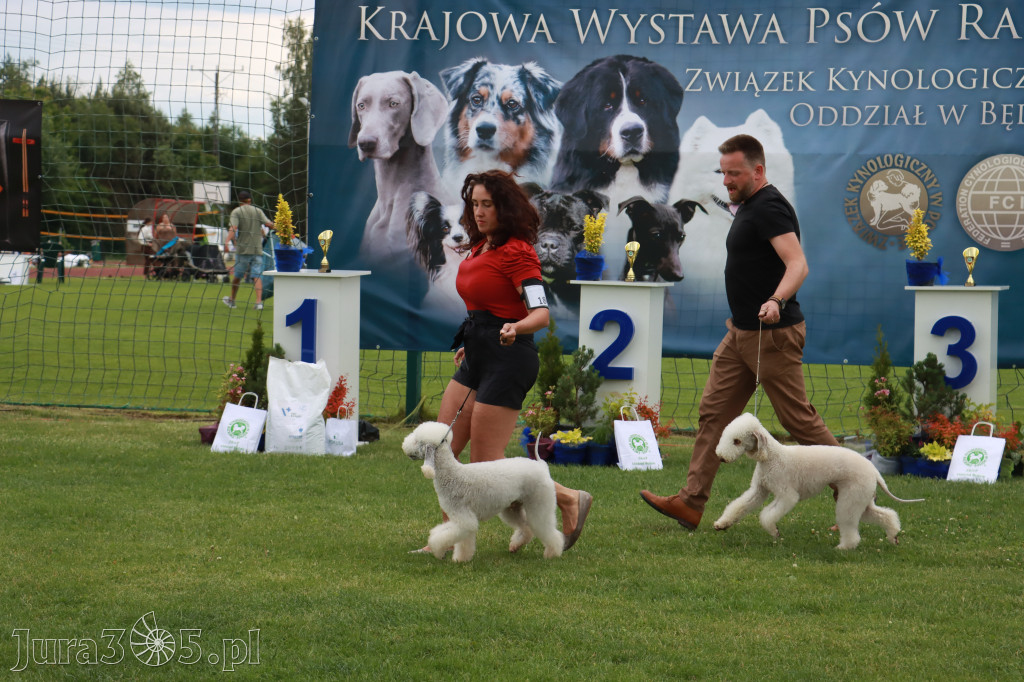 Fotorelacja I: Krajowa Wystawa Psów Rasowych w Gniazdowie Gmina Koziegłowy