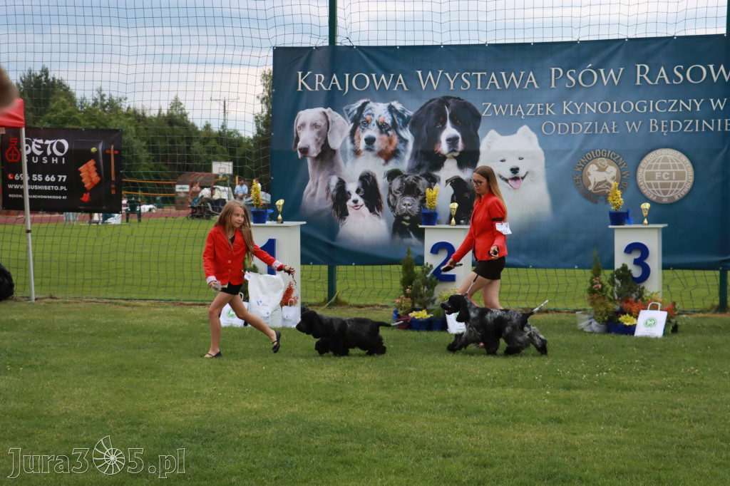 Fotorelacja I: Krajowa Wystawa Psów Rasowych w Gniazdowie Gmina Koziegłowy