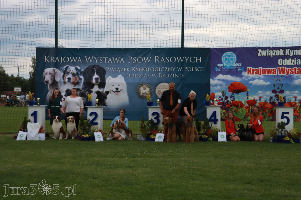 Fotorelacja I: Krajowa Wystawa Psów Rasowych w Gniazdowie Gmina Koziegłowy