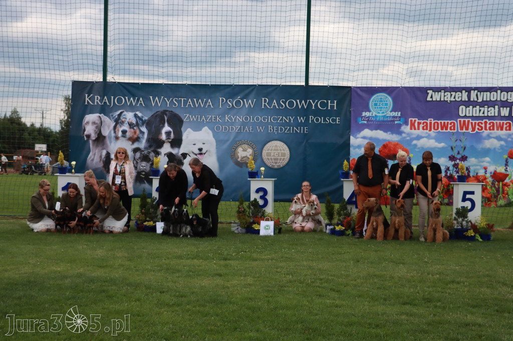 Fotorelacja I: Krajowa Wystawa Psów Rasowych w Gniazdowie Gmina Koziegłowy